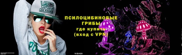 трава Бородино