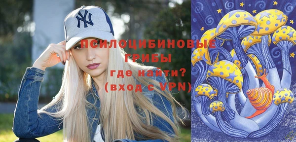 ешки Бронницы