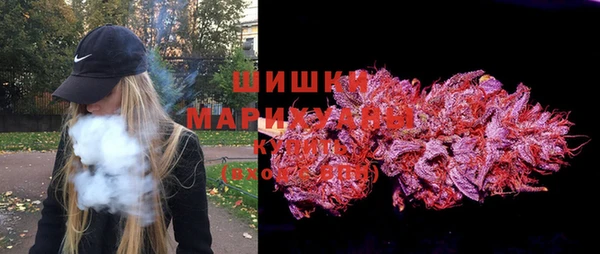 ешки Бронницы