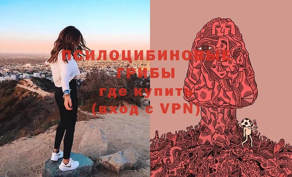 трава Бородино