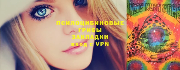 ешки Бронницы
