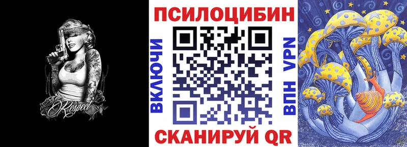 как найти наркотики  Южноуральск  Псилоцибиновые грибы Psilocybine cubensis 